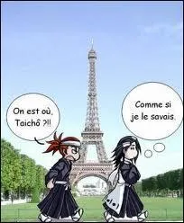 Mais o&ugrave; sont Byakuya et Renji ?