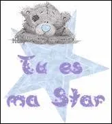 Qui est son/sa chanteur(se) préféré(e) ?