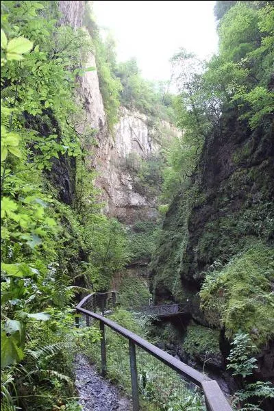 Quelles sont ces splendides et sauvages gorges des Pyrénées-Atlantiques qui offrent d'humides abrupts de 260 mètres mais qui ne font pas plus de 3 à 4 mètres de large au Grand Etroit ?