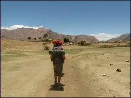 Quel est le bon chanteur ? Indice : M. Pokora et Tal.