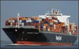 Quel est le bon chanteur ? Indice : Zazie.