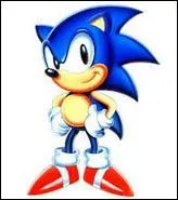 Comment s'appelle cet hérisson qui court à la vitesse de l'éclair ?