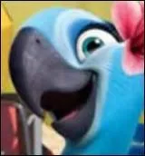 Comment se nomme-t-elle ?