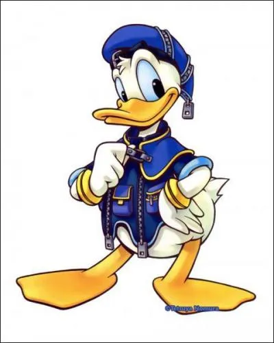 Pourquoi Donald Duck est-il habill comme a ?