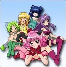 Qui est le deuxième Mew Mew à rejoindre l'équipe ?