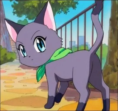 Quel est ce chat tout gris en réalité ?  