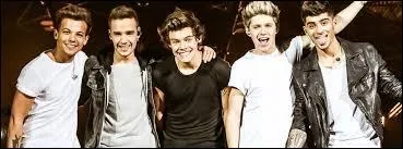 Que représente-t-il ?