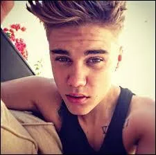 Justin Bieber est un des chanteurs favoris de Niall.