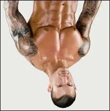 Qui est ce catcheur ?