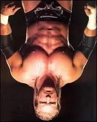 Qui est ce catcheur ?