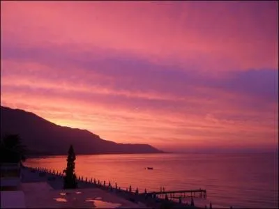 Qui a des doigts de rose pour le poète Homère.