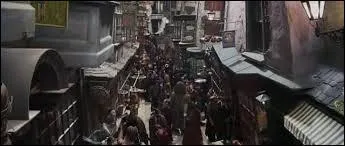Cette personne a réussi à convaincre les Dursley de laisser partir Harry à Poudlard, sur ce Hagrid et Harry s'en vont dans une rue de commerce magique mais comment s'appelle cette rue ?