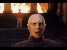 Grâce à quel liquide Voldemort peut-il rester en vie derrière la tête de Quirell ?