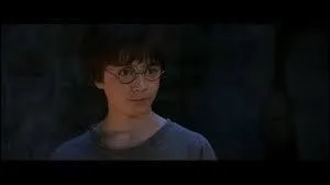 Comme l'oncle Vernon ne veut pas qu'Harry lise la lettre, tout le monde part de la maison du 4 Privet Drive mais cela ne suffit pas et ils reçoivent une visite dans leur nouveau domicile... mais qui est cette visite ?