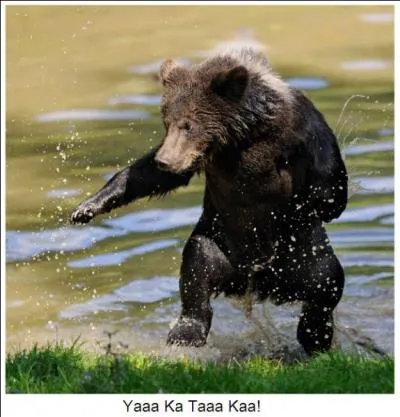 Une fois apprivoisé, un animal sauvage est doux comme un agneau !