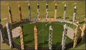 Quel est le nom du sport de balai dans Harry Potter ?