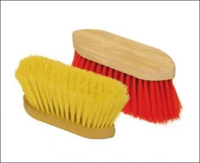 Quelle est cette brosse ?