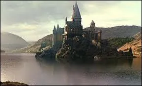 En arrivant à Poudlard, qui menace de renvoyer Harry et Ron ?