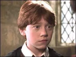 Selon Ron, qui serait l'héritier de Serpentard ?