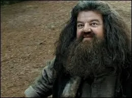 Où est enfermé Hagrid ?