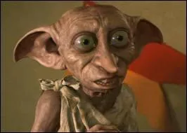 Qui est le maître de Dobby ?