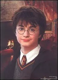 Quel âge a Harry dans le deuxième volet de la saga ?