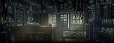 Dans cet endroit, Harry est dans un boutique nommée Barjow et Beurk... Mais qui croise-t-il dans cette boutique alors qu'il est caché dans une armoire ?