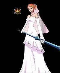 Passons ensuite aux deux dames de l'équipage au Chapeau de Paille, vous voulez bien. En premier, nous accueillons Nami de 'One Piece' :