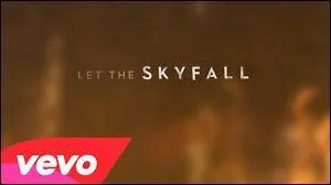 Qui chante Skyfall ?