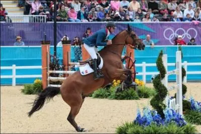 Quel cheval saute le mieux ?