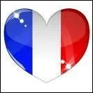 Comment s'appelle la capitale de la France ?