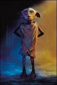 Dans le cinquième tome Dobby apprend à Harry l'existence d'un endroit. Quel est cet endroit ?