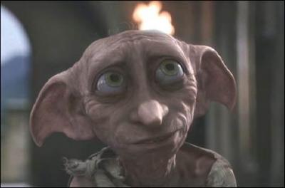 On va commencer facilement. Qu'est-ce que Dobby, ou plutôt qui est-il ?