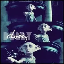 Et dans quel chapitre le voit-on pour la première fois ?