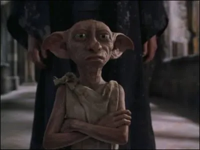 Dobby peut-il faire de la magie avec une baguette ?
