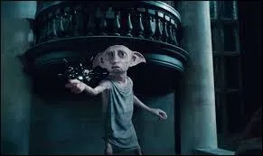 Harry Potter rencontre Dobby la première fois dans sa chambre. Que cachait-il ?