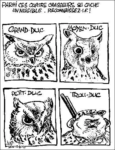 De ces trois rapaces, lequel est le plus gros ?