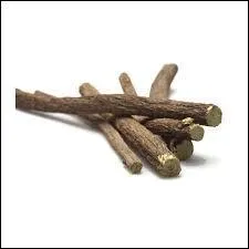 Le bâton de réglisse est un bonbon ancien et toujours très apprécié, mais savez-vous de quel morceau de la plante il s'agit ?