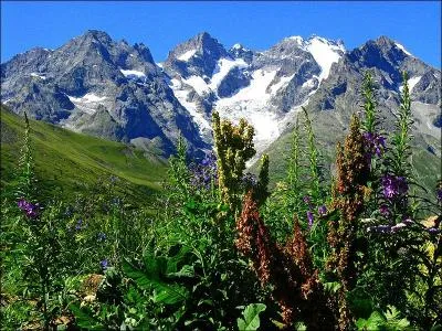 Quel département ne pourrez-vous rejoindre directement si vous partez de celui des Hautes-Alpes ?