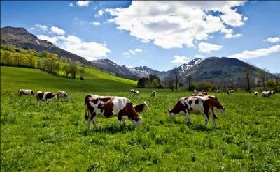 Quel département est-il impossible de rejoindre directement à partir de celui du Cantal ?