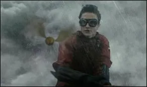 Que se passe-t-il lors du match de Quidditch opposant Gryffondor contre Pouffssoufle ?