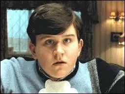 Lorsque la tante Marge gonfle comme un ballon et s'envole dans le ciel, que regarde Dudley à la télévision ?