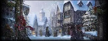 Quel est le lieu où vont Hermione et Ron sans Harry ?