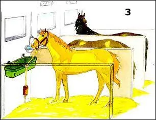 Quel est ce mode d'hébergement ?