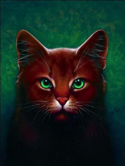 Quel objet permet à Nuage de Geai de communiquer avec ses ancêtres ?