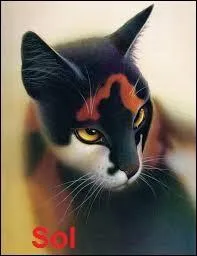 Qui a tout fait perdre à Djinn et ses compagnons ?