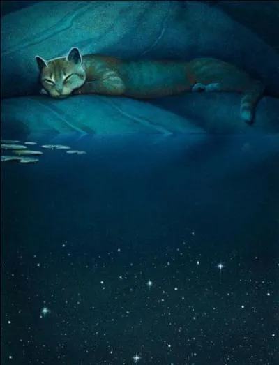 Qui est le mentor de Nuage de Geai ?