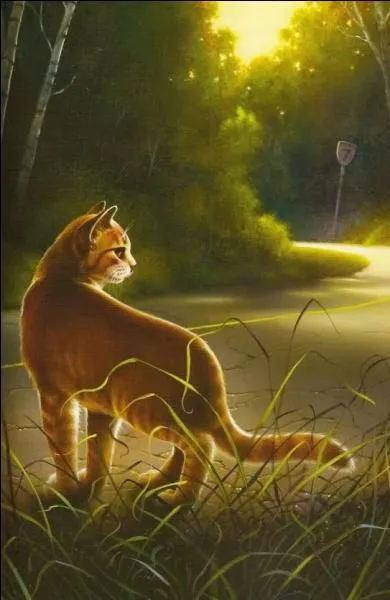 Qui va aider Sol à s'échapper ?