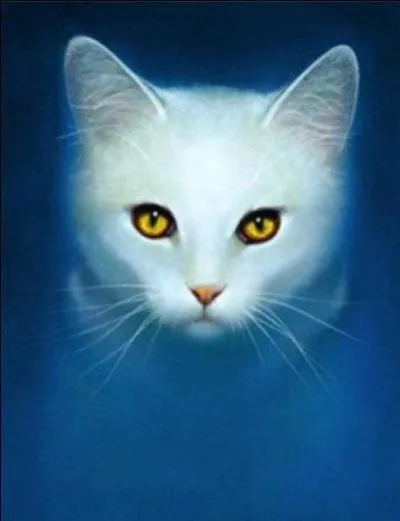 De qui Feuille de Houx est-elle amoureuse ?