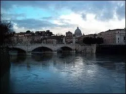 Le Tibre est un fleuve italien qui se jette dans :